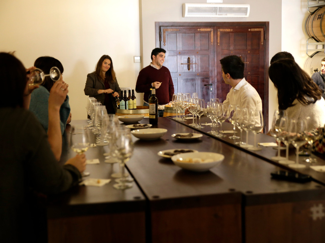 Bodega Cuatro Rayas景点图片