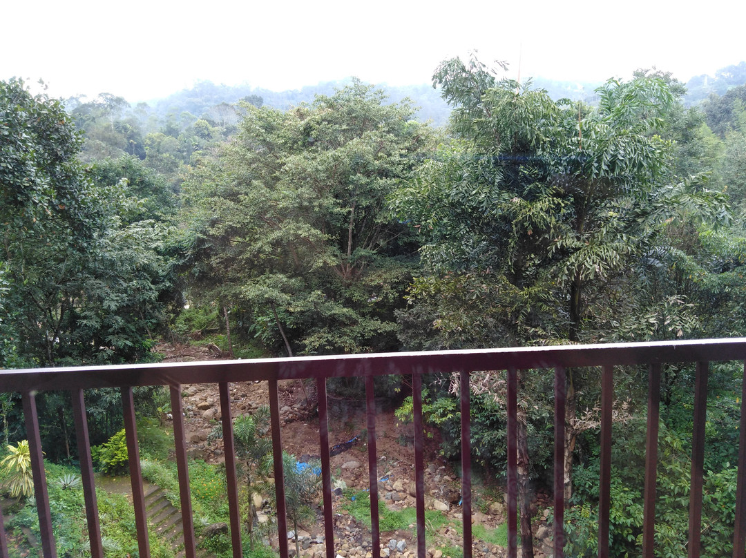 Misty River Resort主图