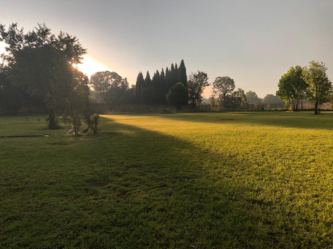 TreeTopia Guesthouse主图