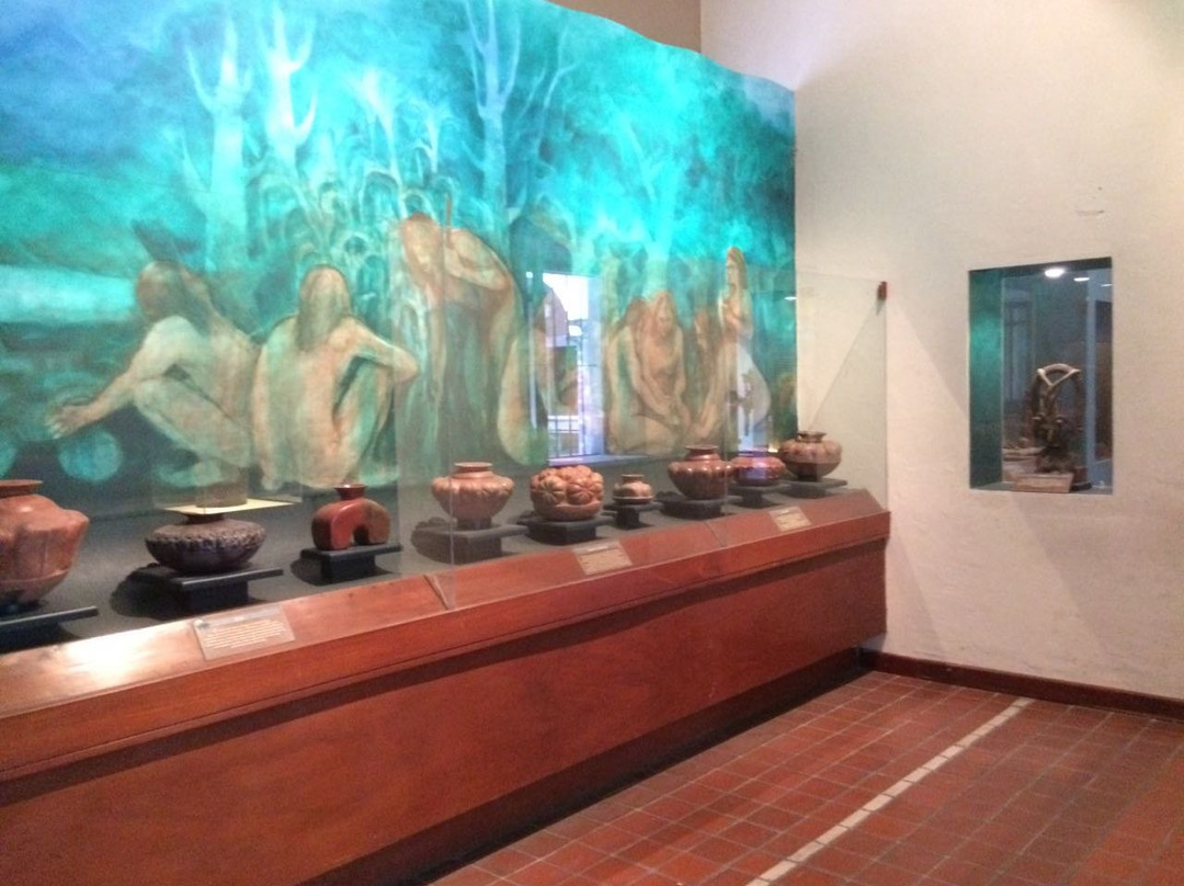 Colima City Regional History Museum景点图片