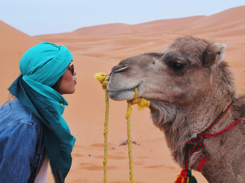 Morocco Unlimited Dreams-梅如卡必去景点