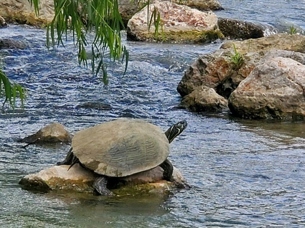 Mission Adventure Tours-圣安东尼奥市必去景点