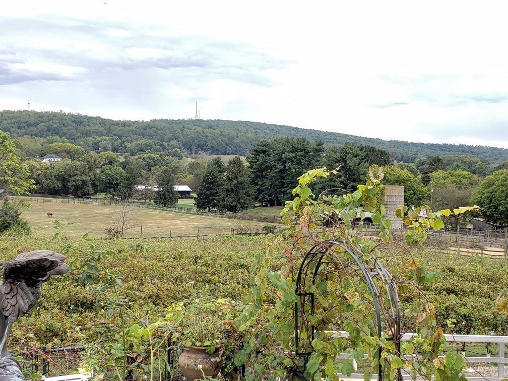 Mediterranean Cellars-沃伦顿必去景点