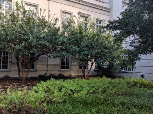 Gaillard Center-查尔斯顿必去景点