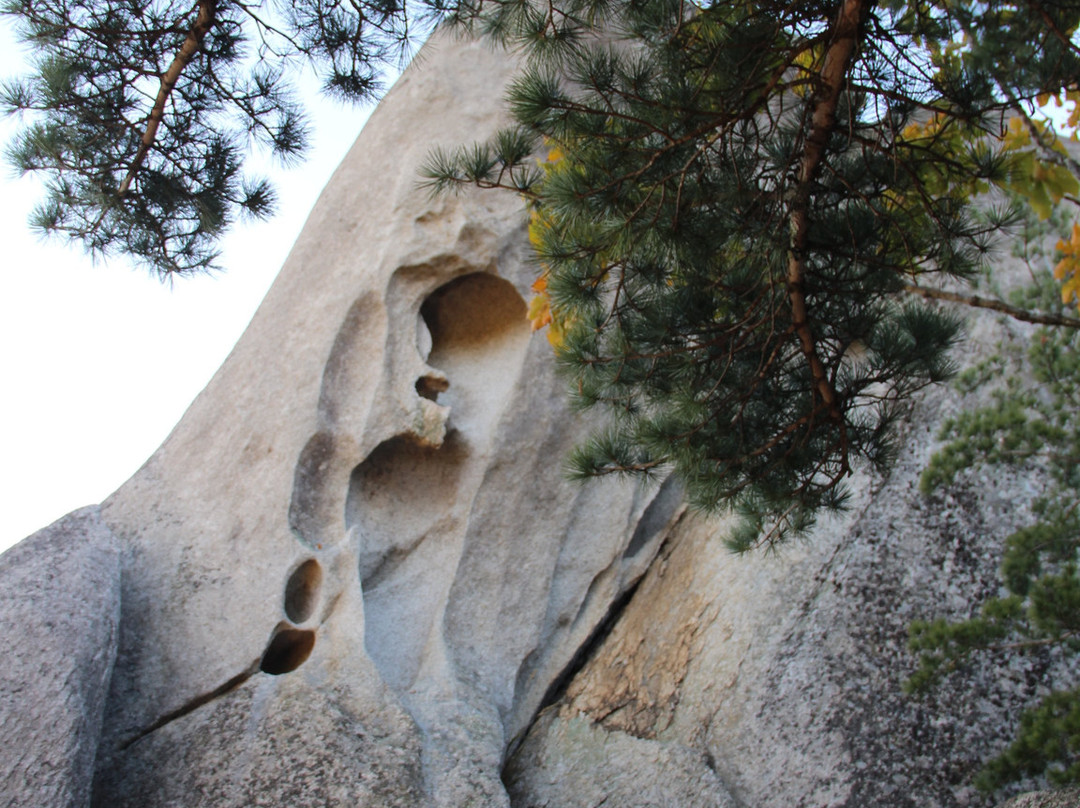 Dragon Park景点图片