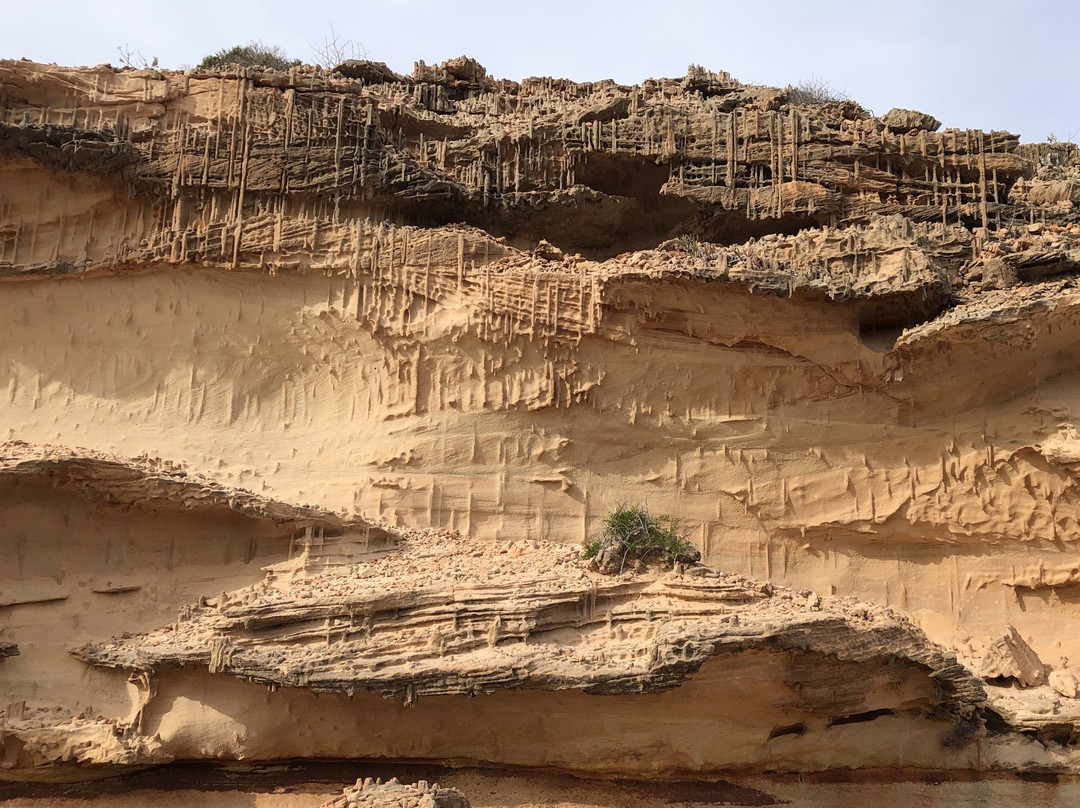 Mushroom Rock Walk Trail景点图片