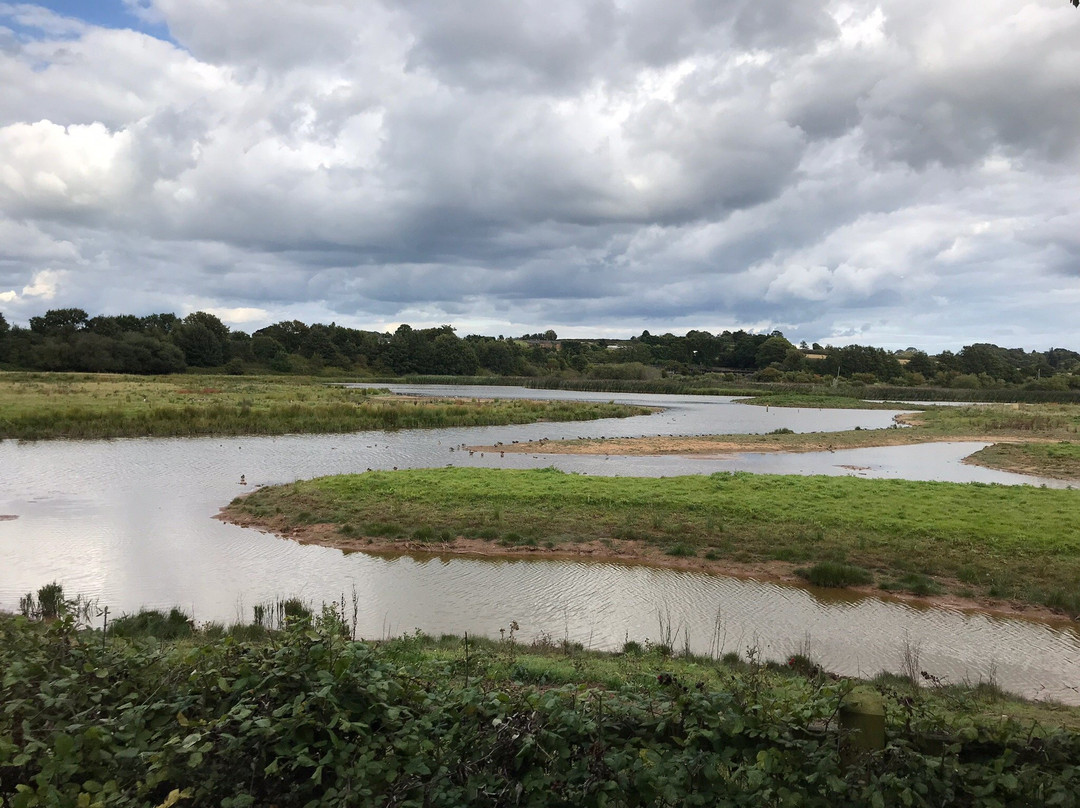 Exminster旅游景点-Bowling Green Marsh