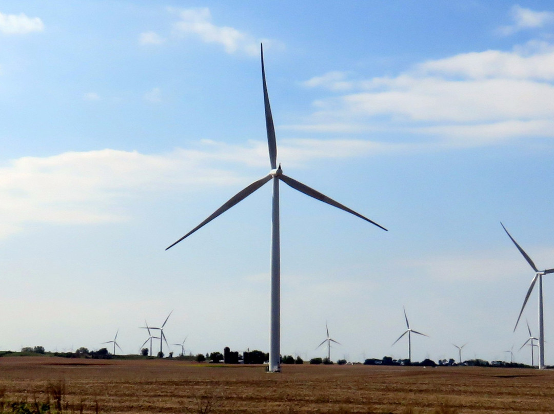 Benton County Wind Farm Tours景点图片