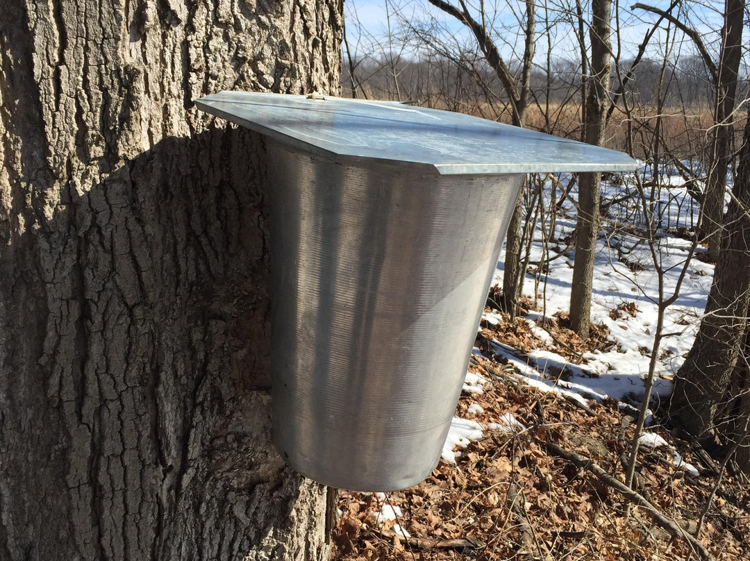 Lizton旅游景点-McCloud Nature Park