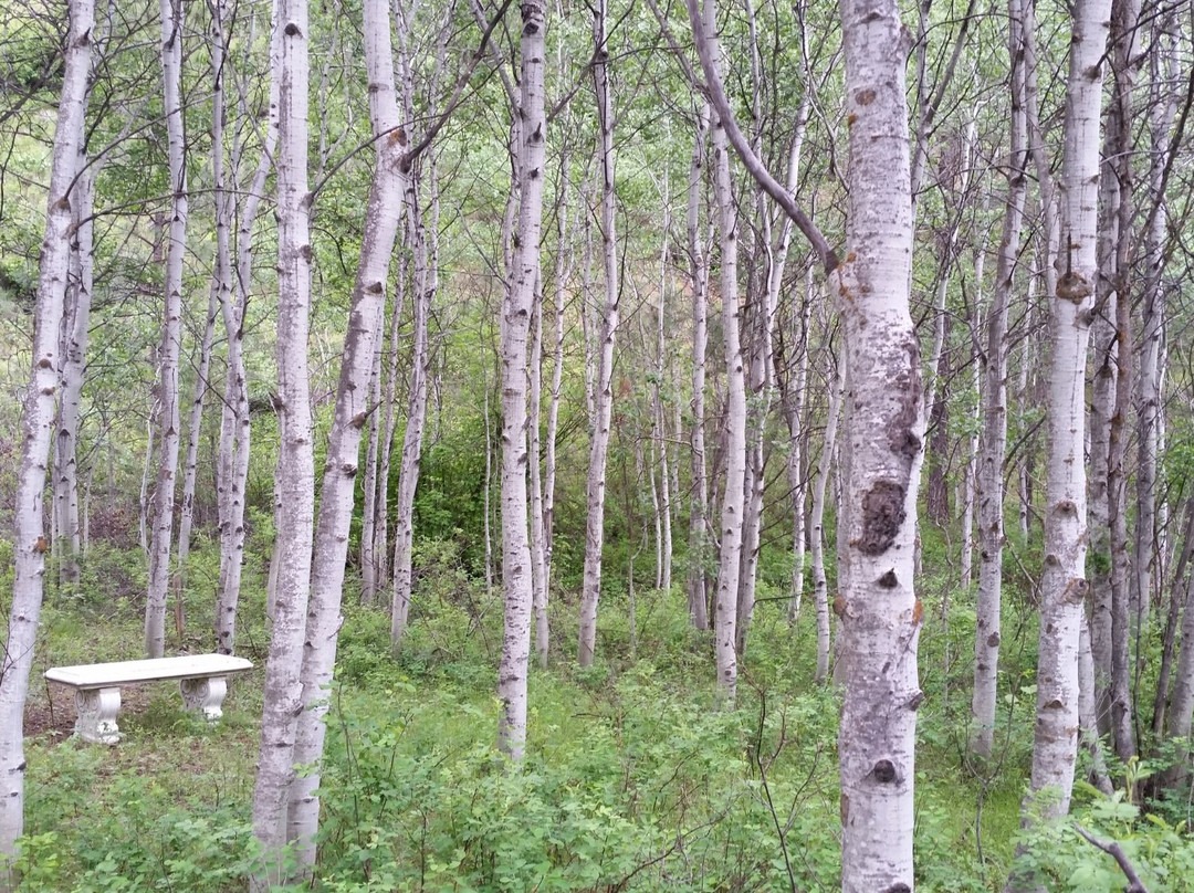 Idaho City旅游攻略图片