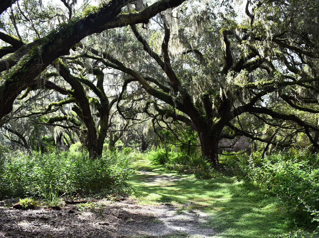 Lake Runnymede Conservation Area