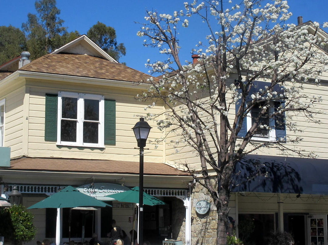 Historic Saratoga Village景点图片