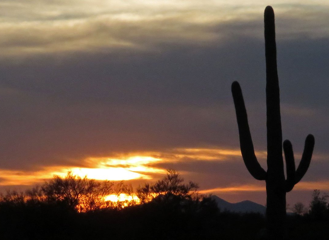 Tucson Mountain Stables-图森必去景点