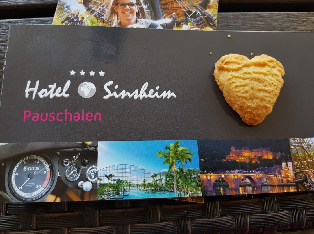 Hotel Sinsheim主图