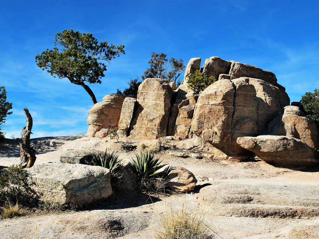 Cascabel旅游景点-Santa Catalina Mountains