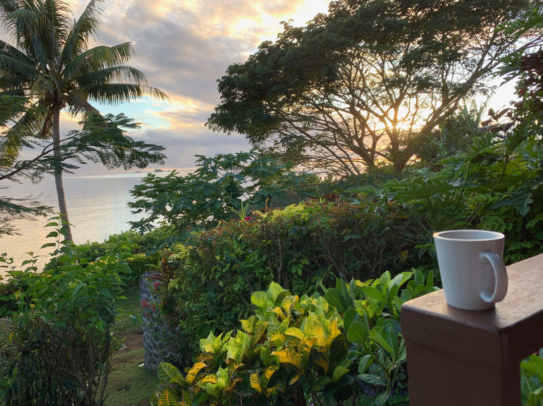 椰林海滨别墅主图