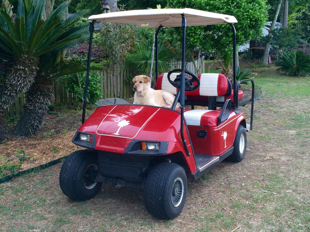 2023年12月Isle of Palms Golf Carts景点攻略Isle of Palms Golf Carts门票预订地址图片