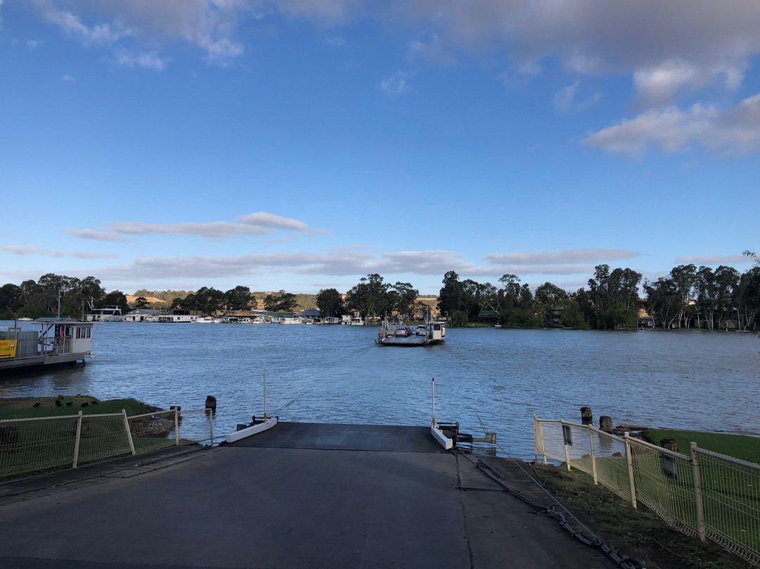 Mannum Ferry景点图片