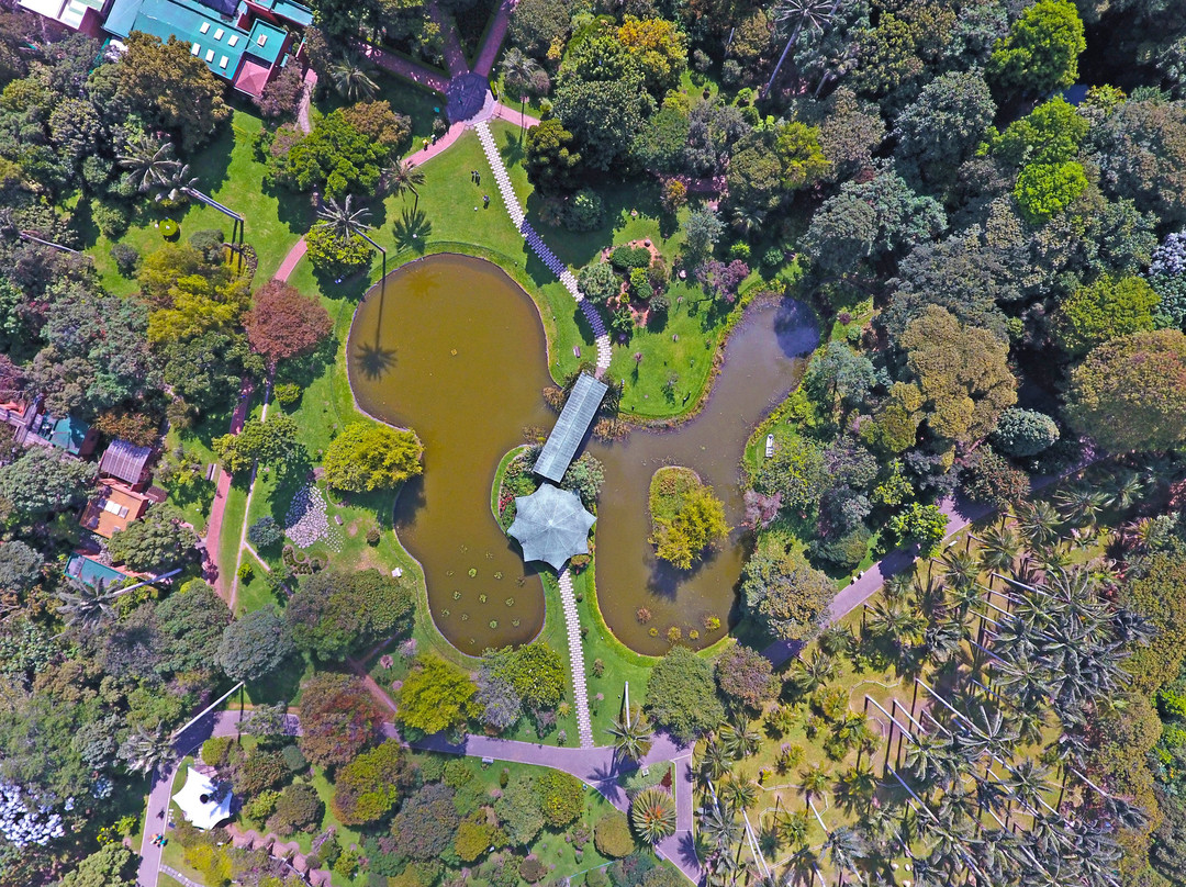 Jardin Botanico de Bogota Jose Celestino Mutis景点图片