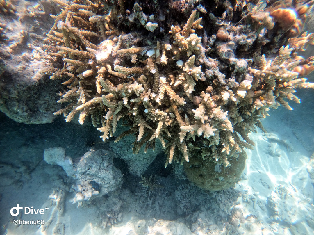 Crazy Waves Diving Club-赫尔格达必去景点