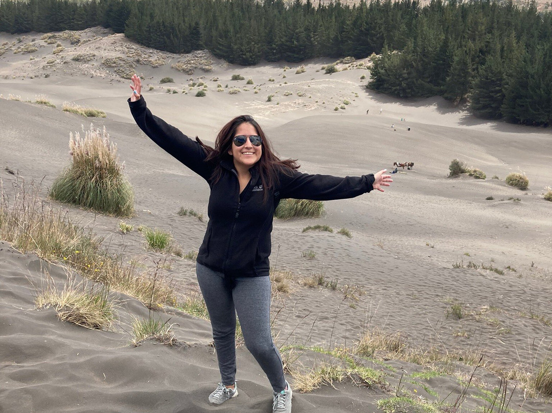 Desierto De Palmira-Chimborazo Province必去景点