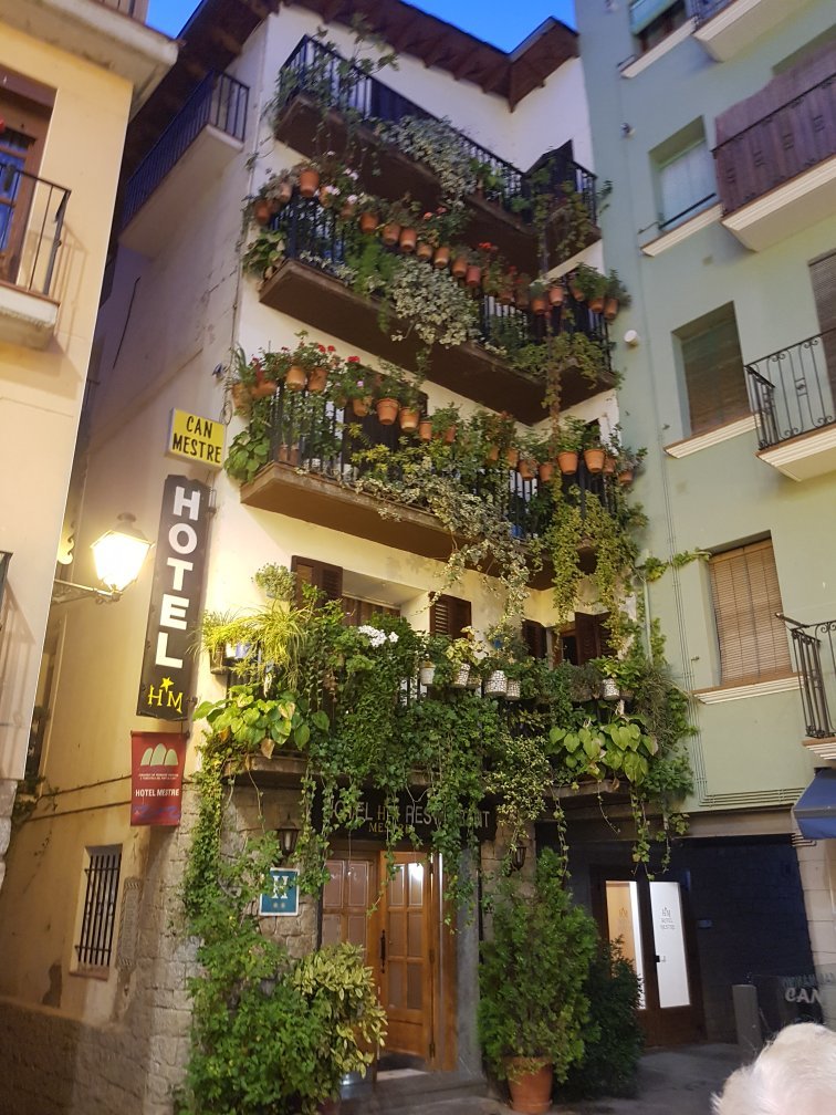 Hotel Can Mestre-官方