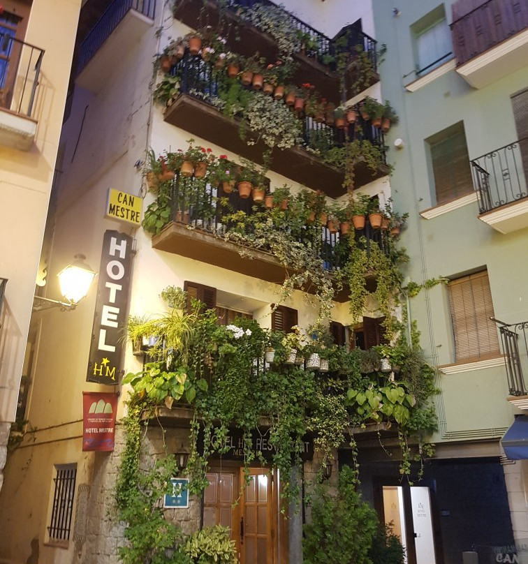 Hotel Can Mestre主图