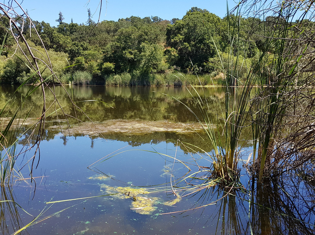 Pearson-Arastradero Preserve-帕罗奥多必去景点