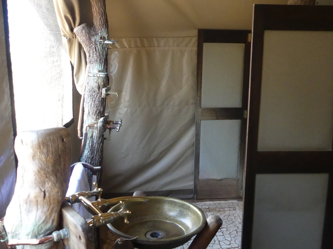 丛林漫步之旅酒店主图