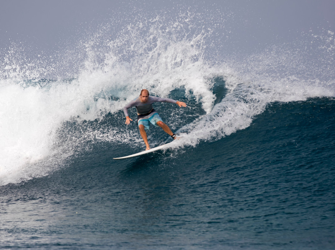 Next Level Surf Coaching景点图片