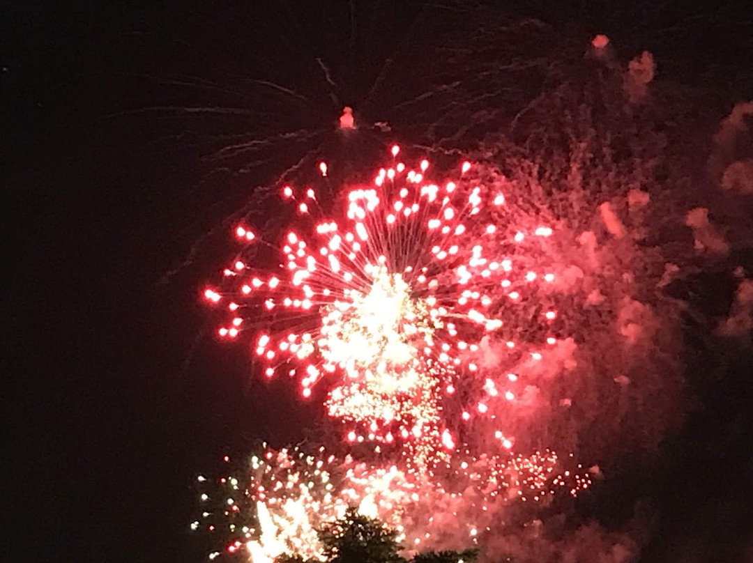 Donald M. Gordon Chinguacousy Park-布兰普敦必去景点