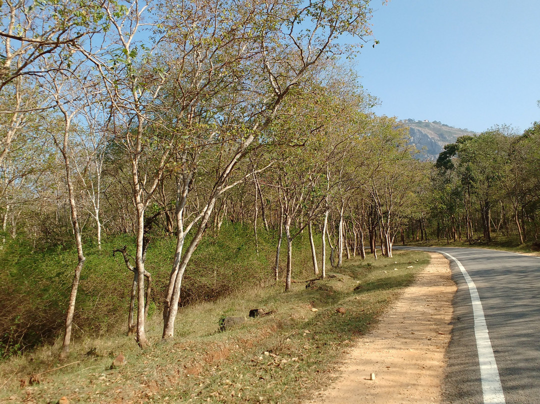 Br Hills Wildlife Sanctuary-Kemmannagundi必去景点