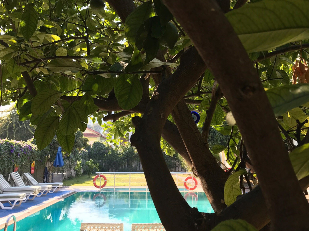 德迪米恩花园酒店主图