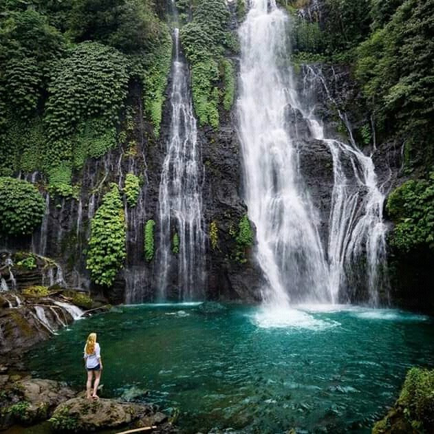 Alea tour&travel lovina-巴厘岛必去景点
