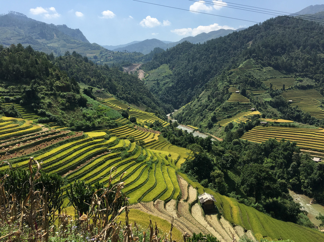 Mu Cang Chai景点图片