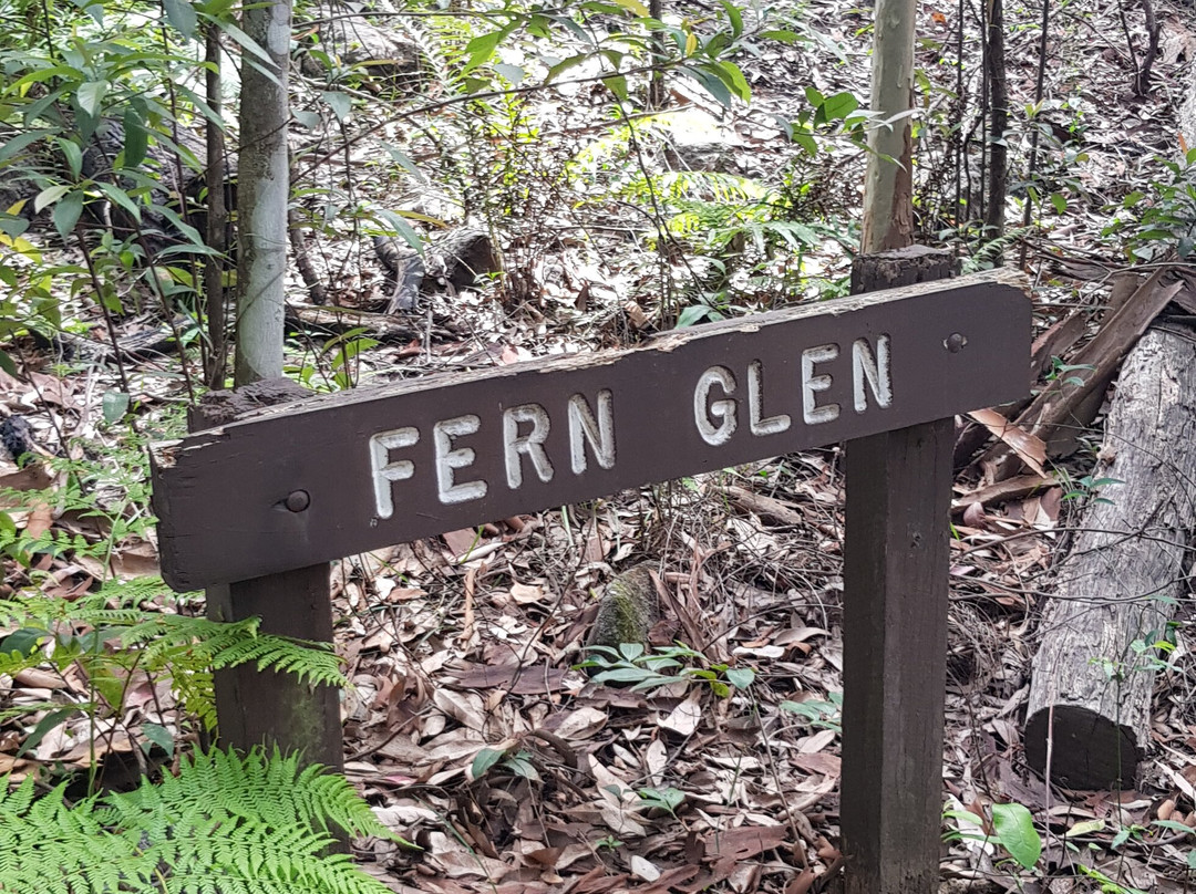 Bomaderry Creek Bushwalking Track景点图片