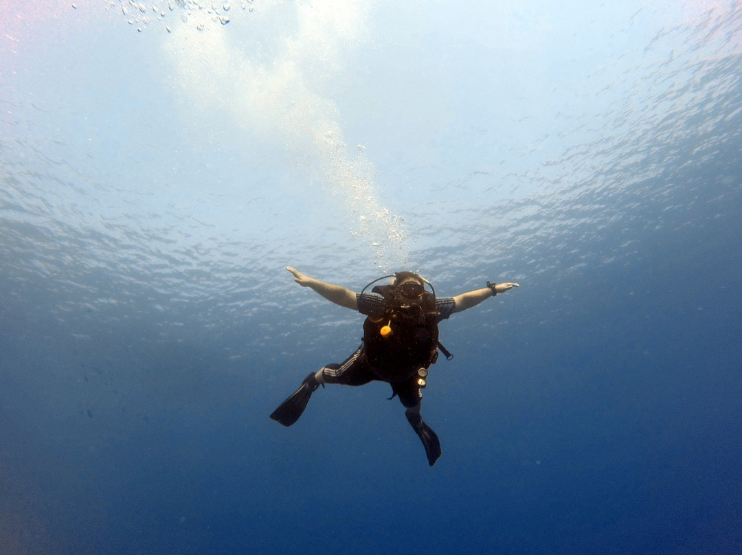 达哈卜潜水中心-达哈卜必去景点