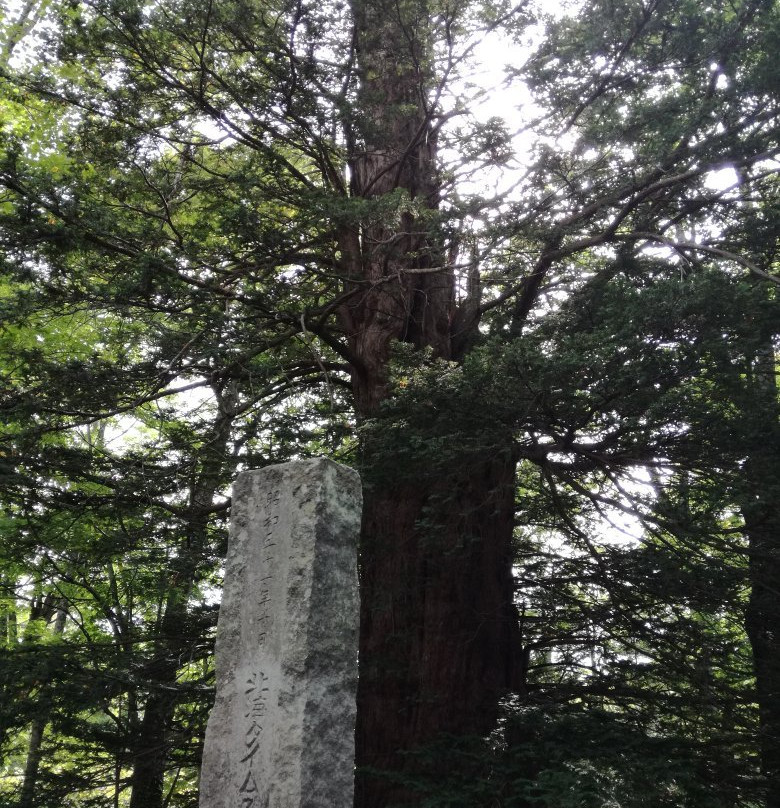 Kogane Mizumatsu-芦别市必去景点