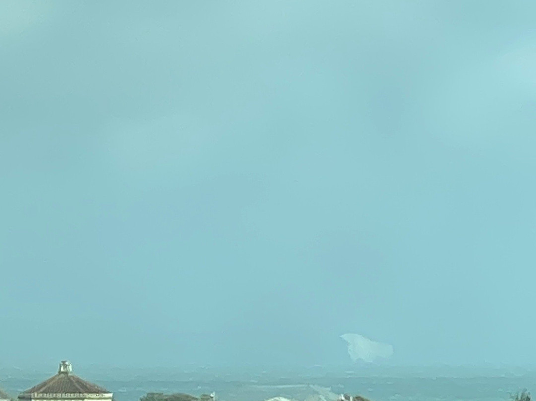 The Polar Bear on the Isle of Wight-伯恩茅斯必去景点