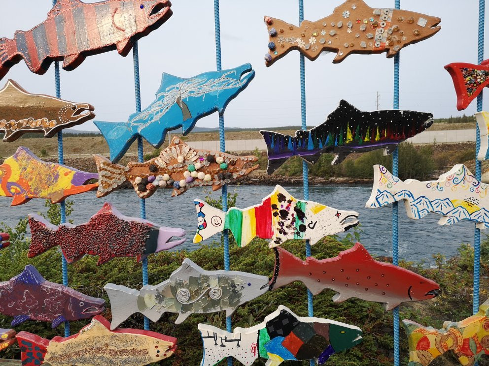 Whitehorse Fishway-白马市必去景点