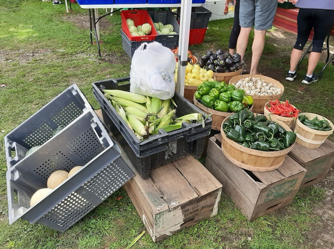 West River Farmers Market-Londonderry必去景点