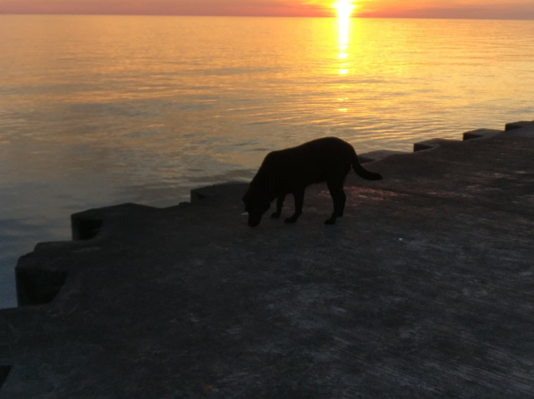 Lake Shore Motel主图