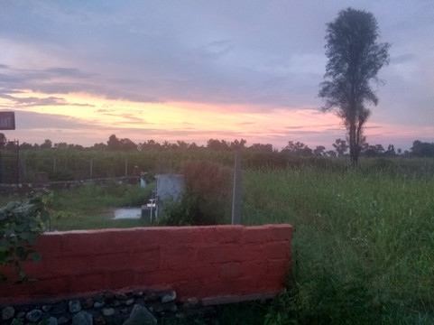 The yatra planner-普希卡必去景点