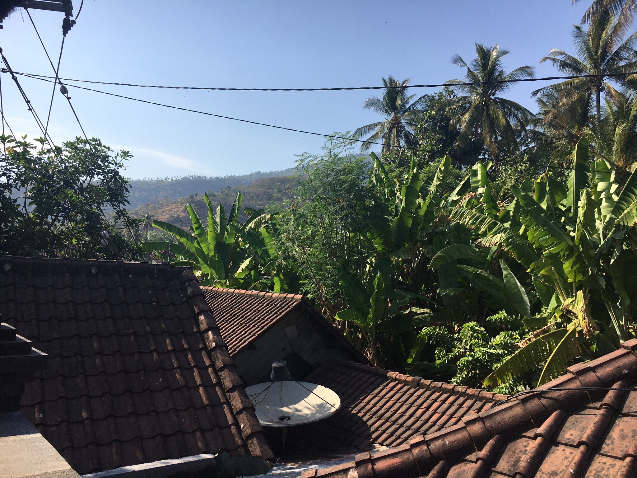 Manis Homestay Amed Bali-官方