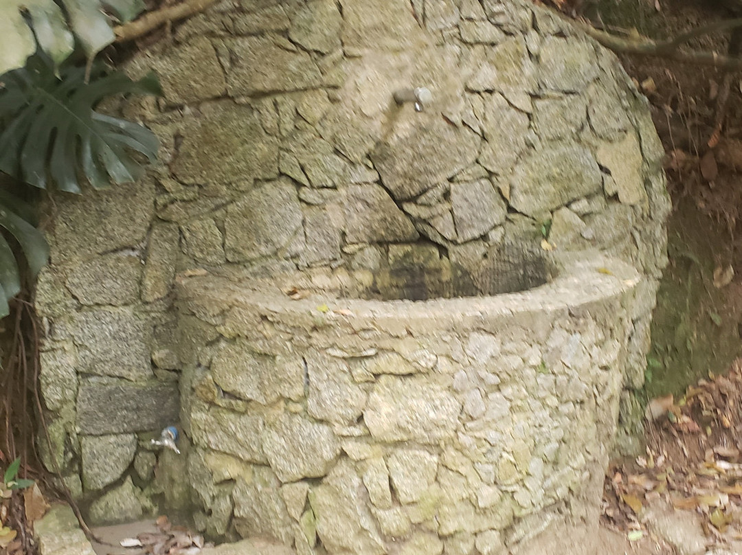 Alfredo Volpi Park-圣保罗必去景点