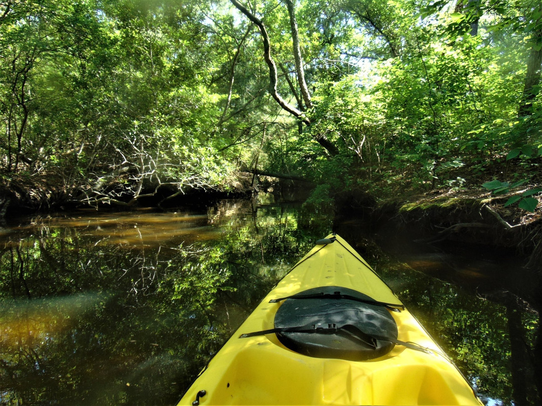 Assawoman Canal-Millville必去景点