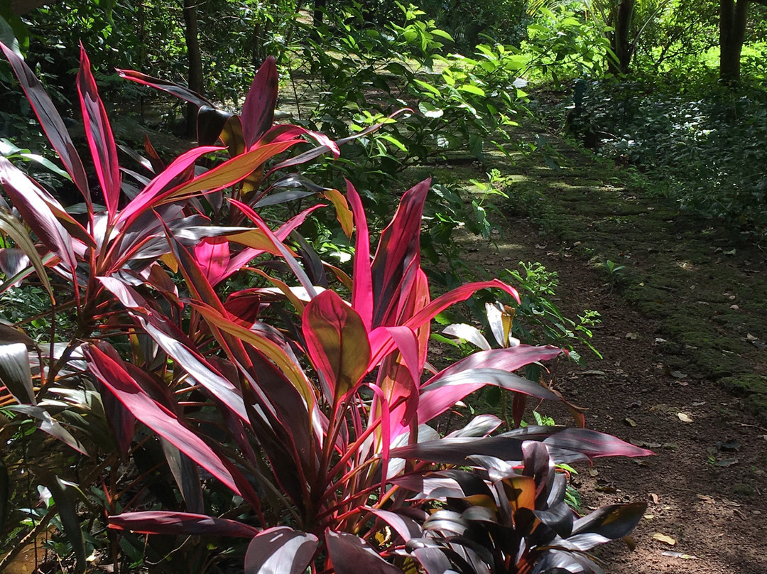 SwaSwara, CGH Earth主图