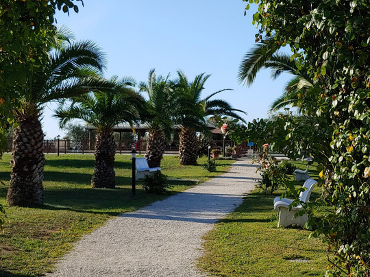 Il Casale di Monica主图