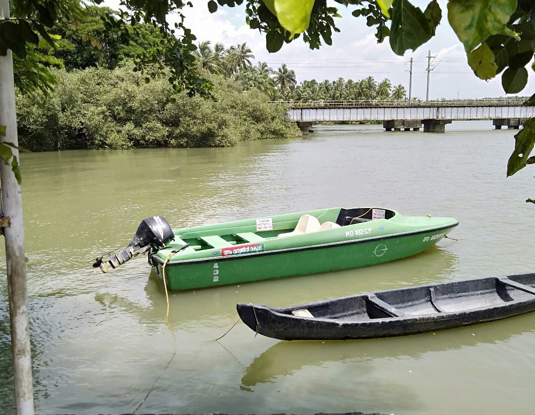 Kadalundi Bird Sanctuary-科泽科德必去景点