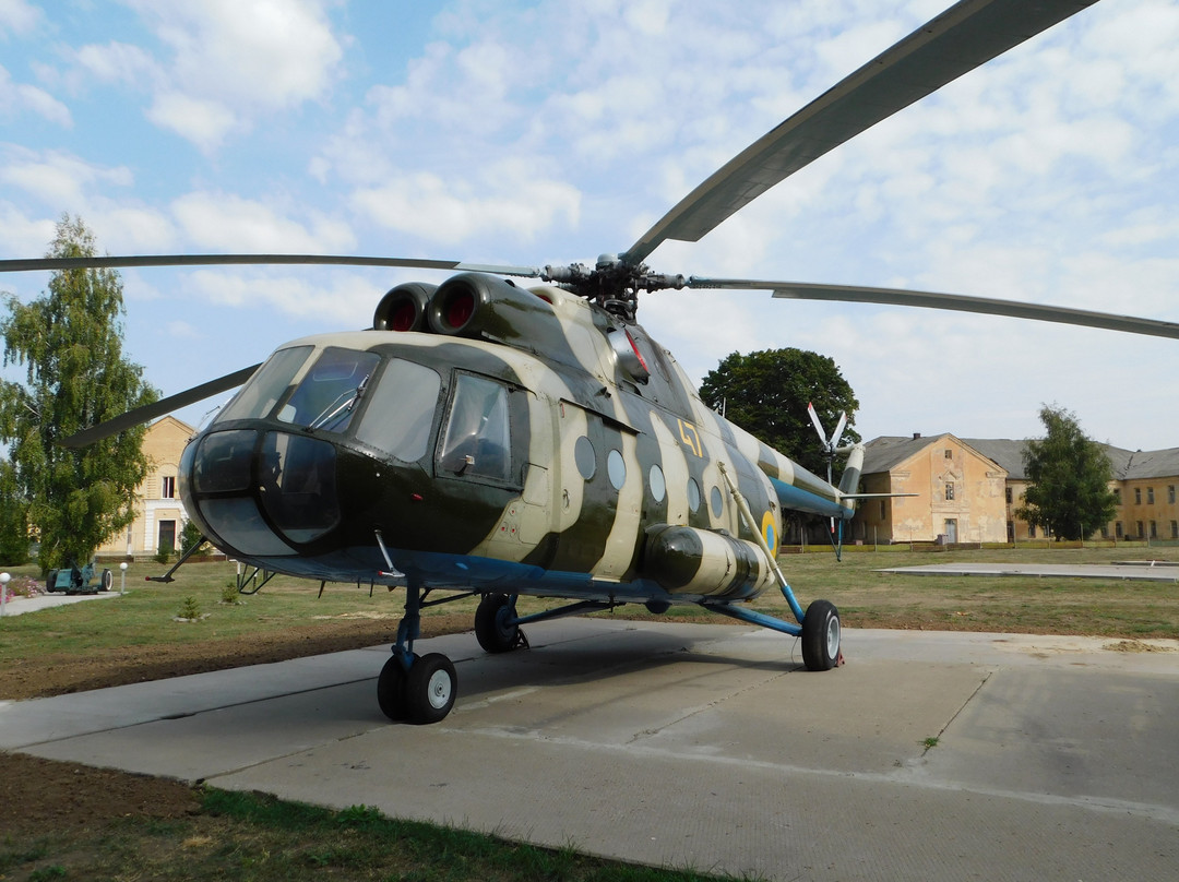 Long-Range Strategic Aviation Museum景点图片